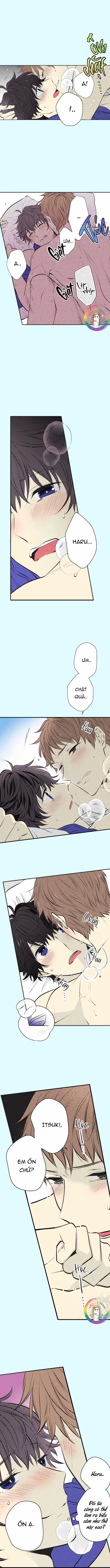 Cây Nhỏ Và Mùa Xuân Thân Yêu 36 0 trang 4