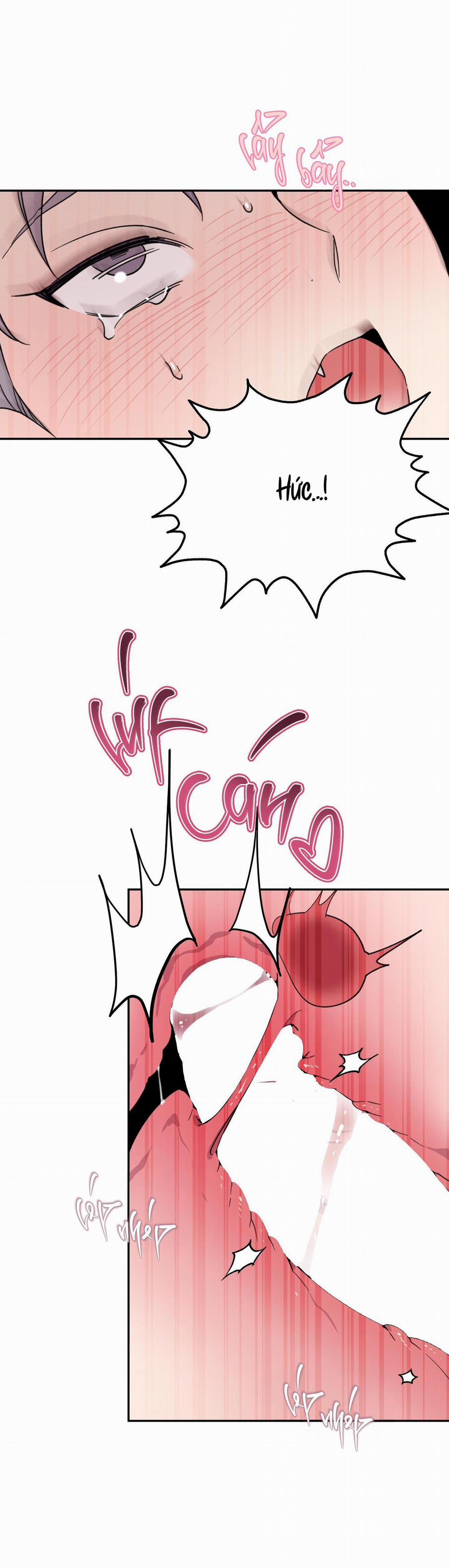 (Cbunu) Carrot And Stick 12 H+ trang 42