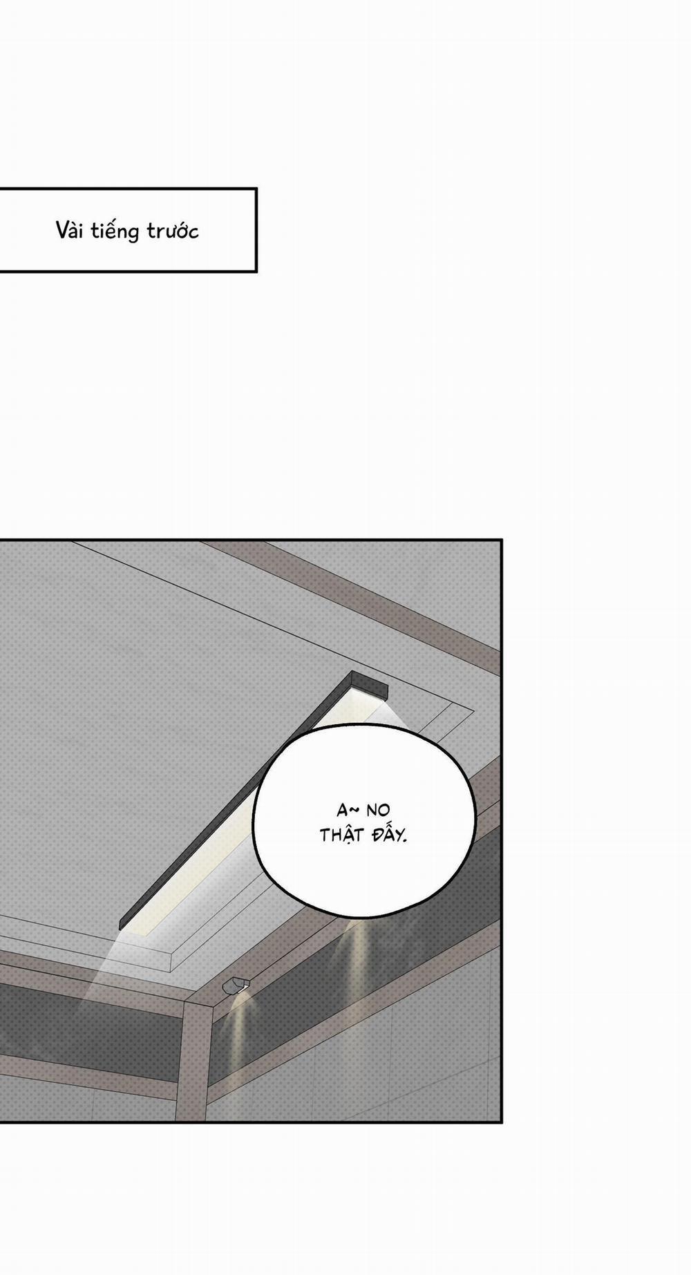 (Cbunu) Carrot And Stick 16 H+ trang 0