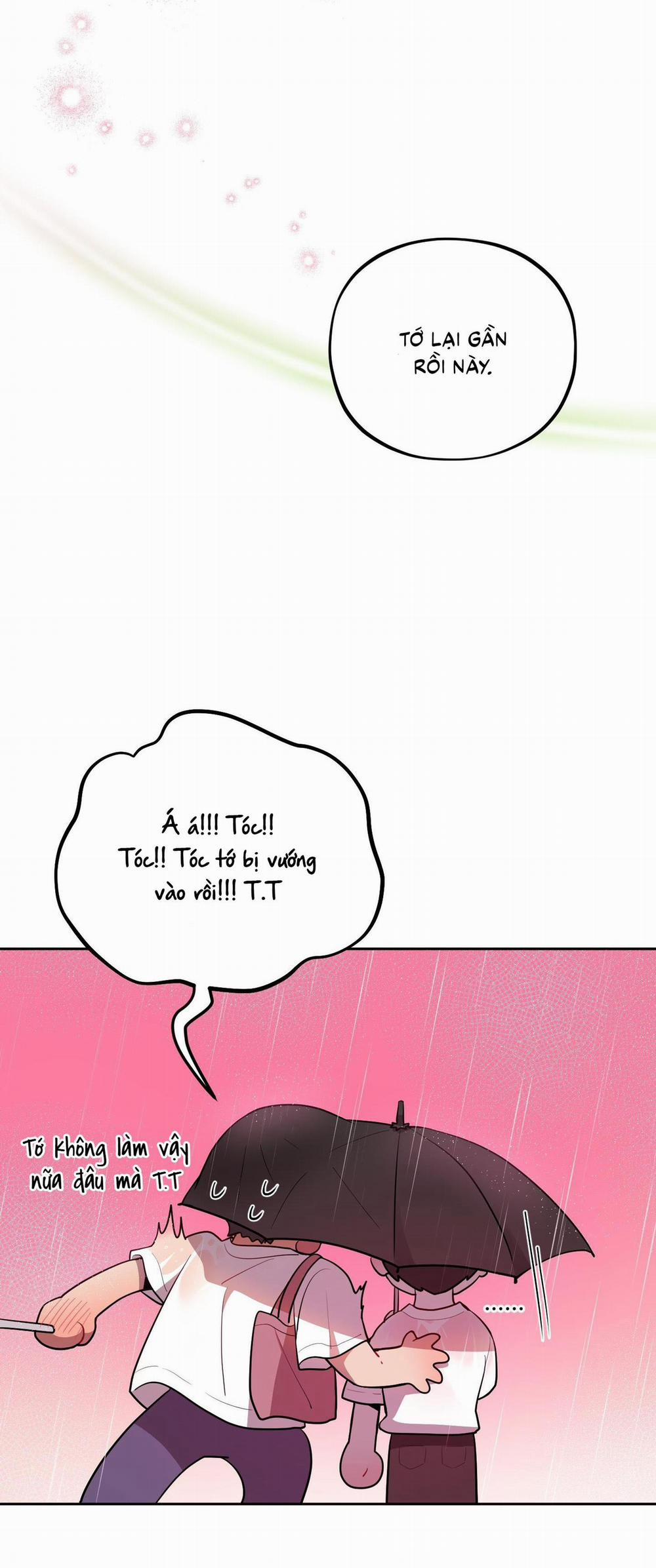 (Cbunu) Chuyện Rằng Tôi Yêu Cậu 15 trang 52