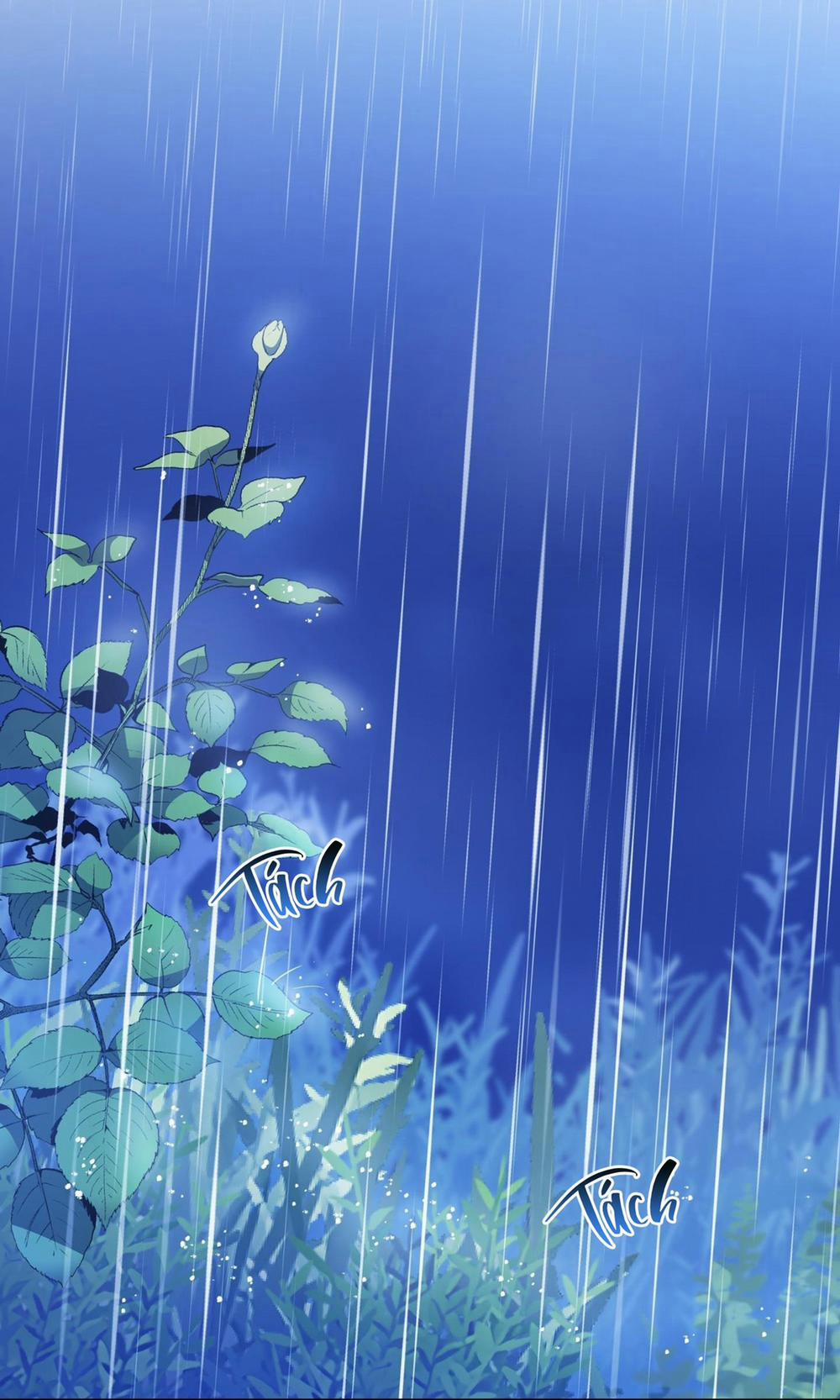 (Cbunu) Chuyện Rằng Tôi Yêu Cậu 23 0 trang 18