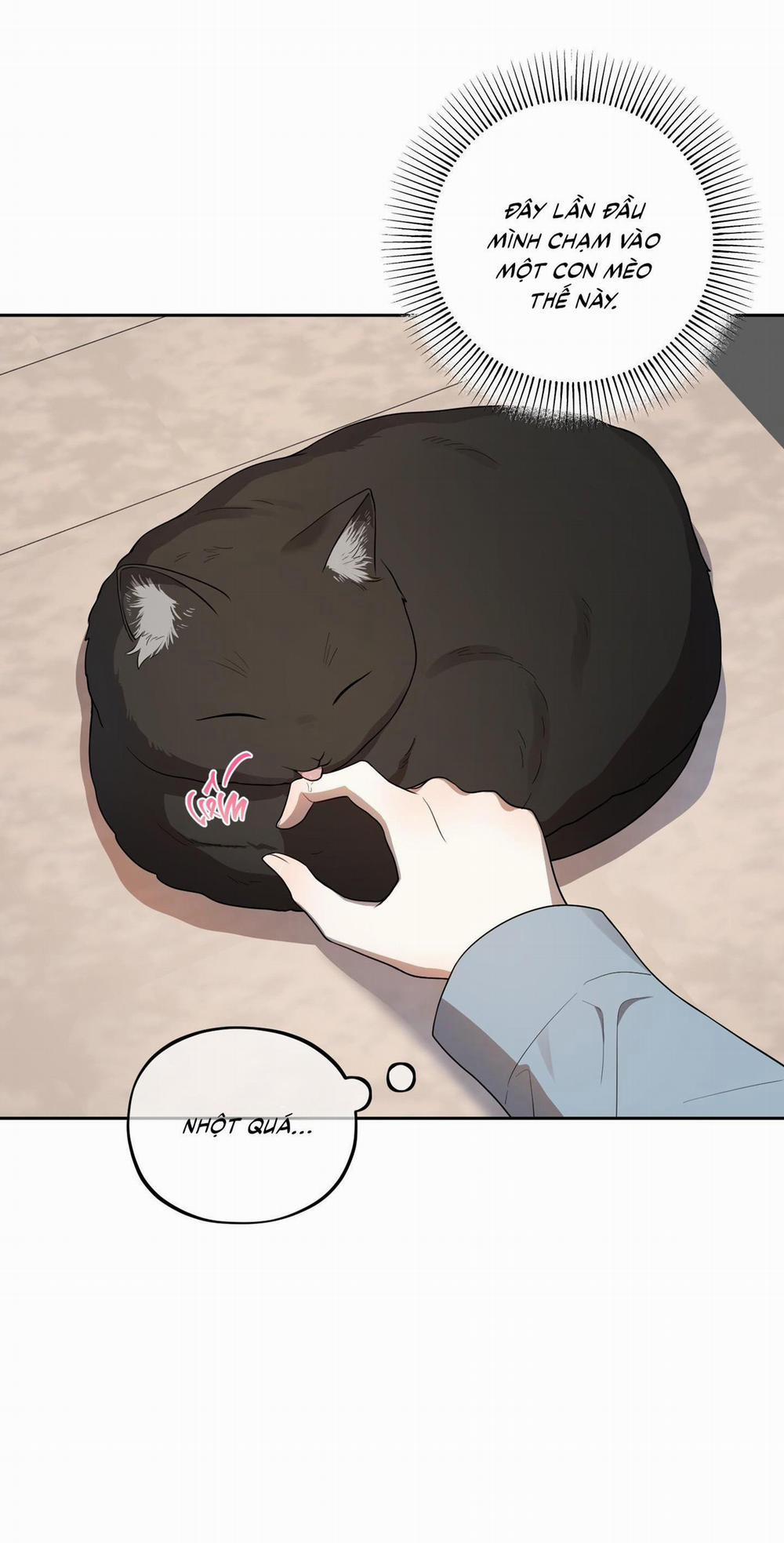 (Cbunu) Chuyện Rằng Tôi Yêu Cậu 9 trang 54