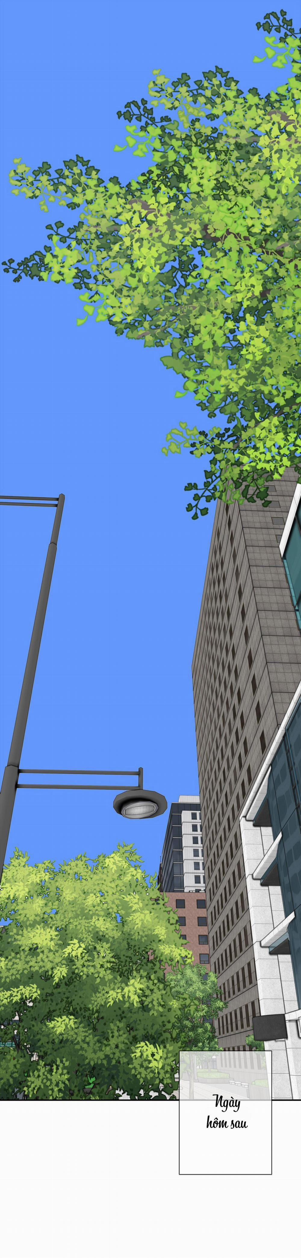 (Cbunu) Cú Dash 5 trang 0