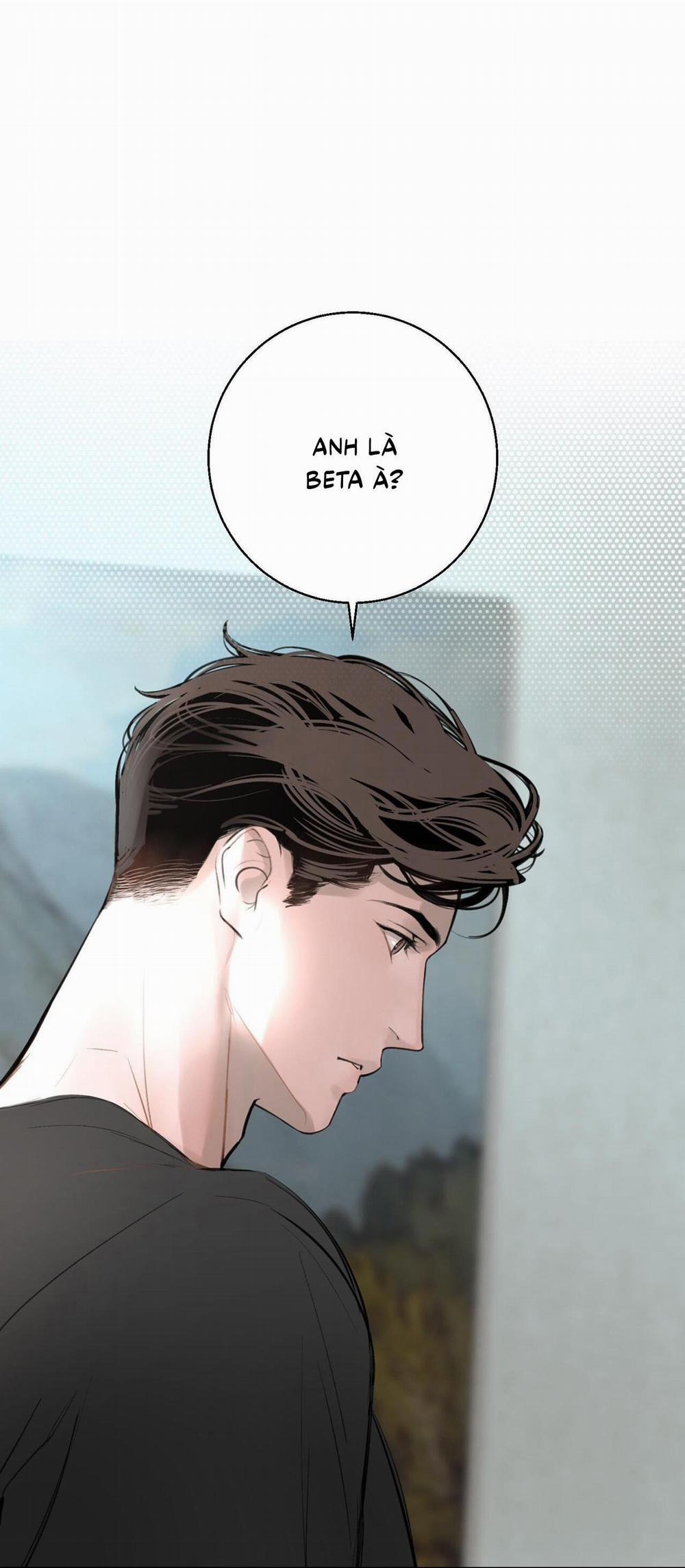 (Cbunu) Cú Dash 6 trang 48