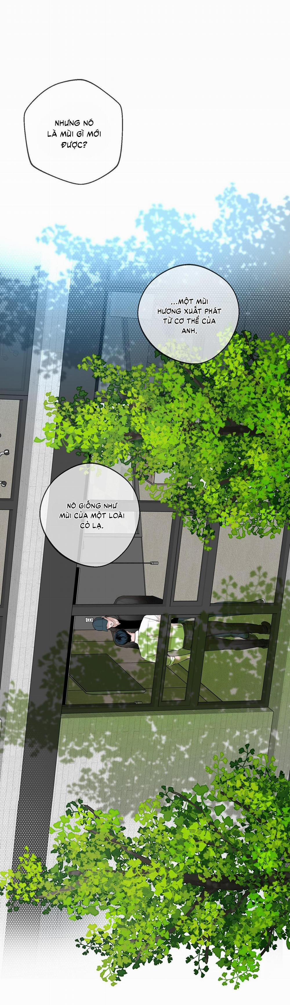 (Cbunu) Cú Dash 8 trang 37