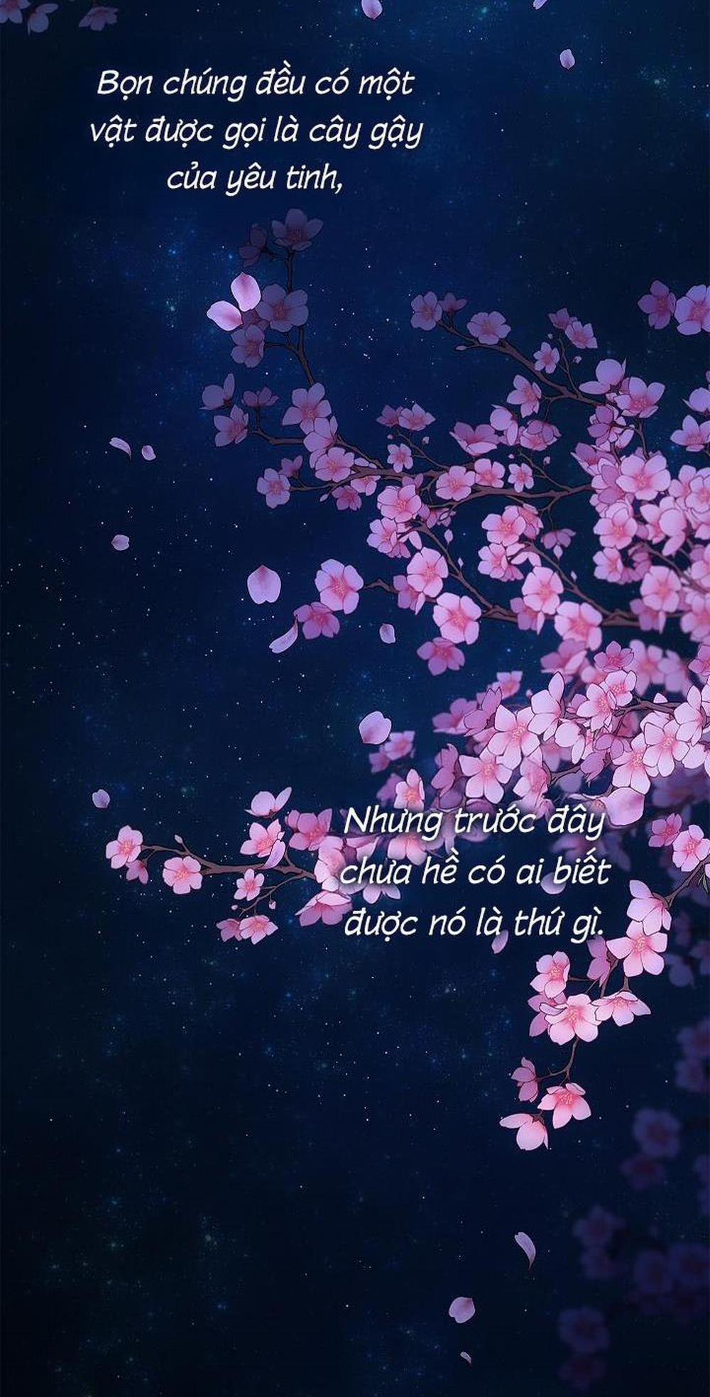 (CBunu) Đuổi Bắt Giữa Đêm Ngọt Ngào 0 Giới thiệu trang 2