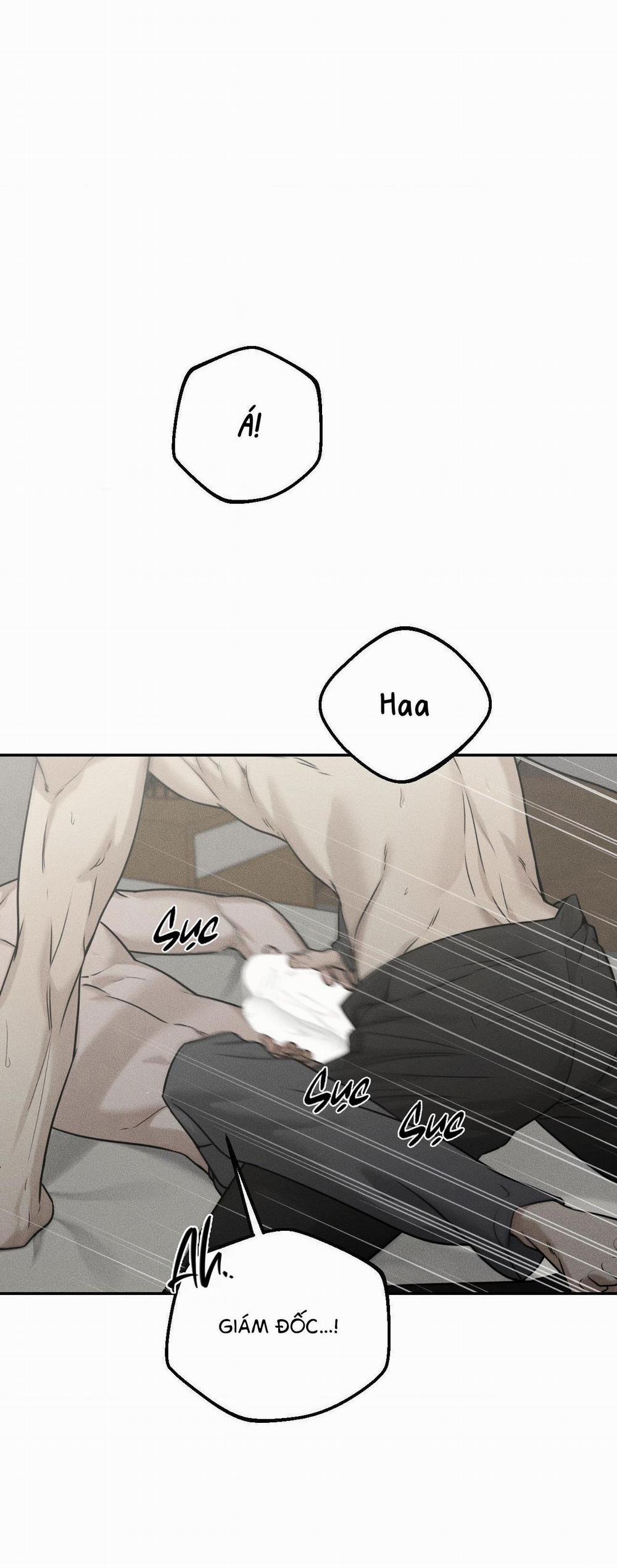 (CBunu) Gấu Teddy thân yêu 23 0 trang 8