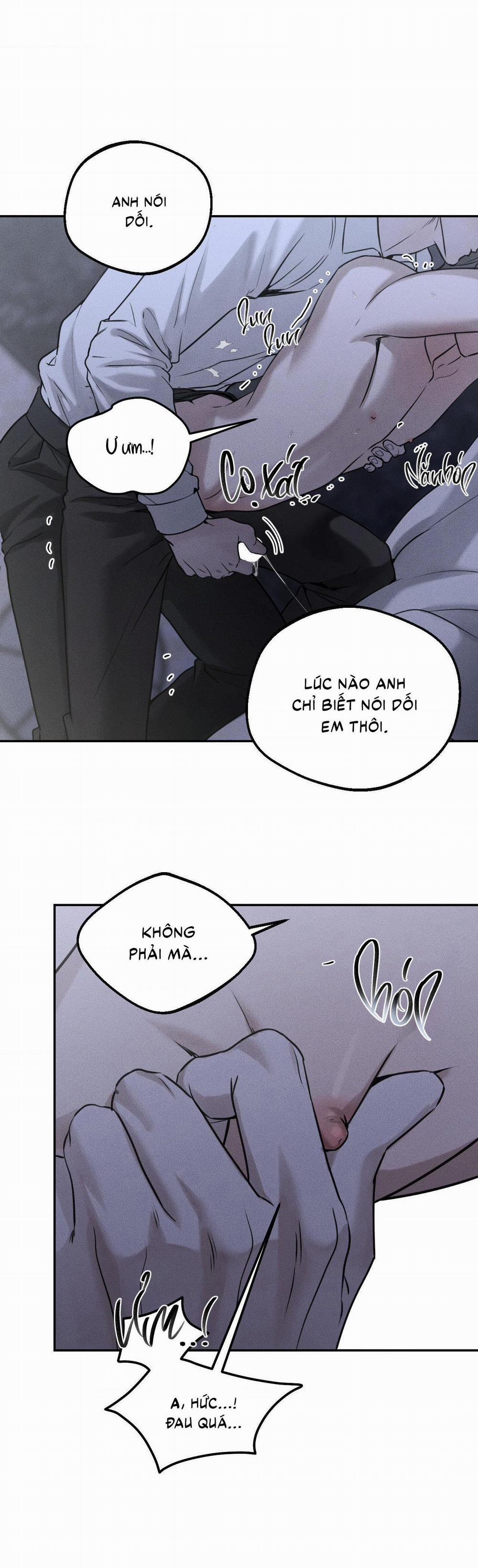 (CBunu) Gấu Teddy thân yêu 25 trang 11