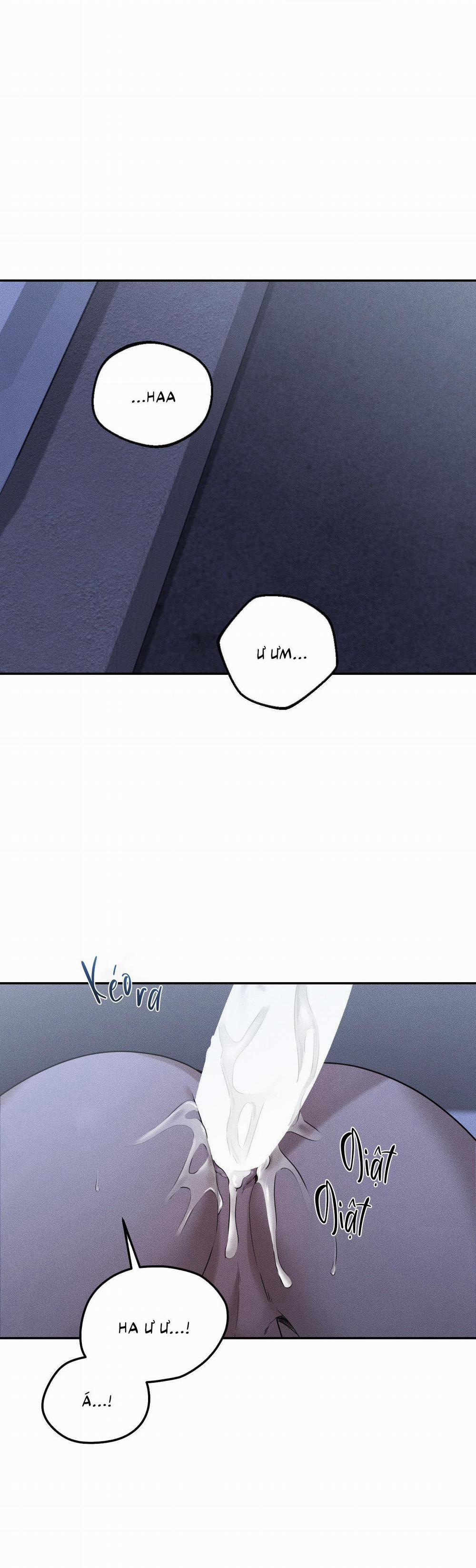 (CBunu) Gấu Teddy thân yêu 27 H+ trang 0