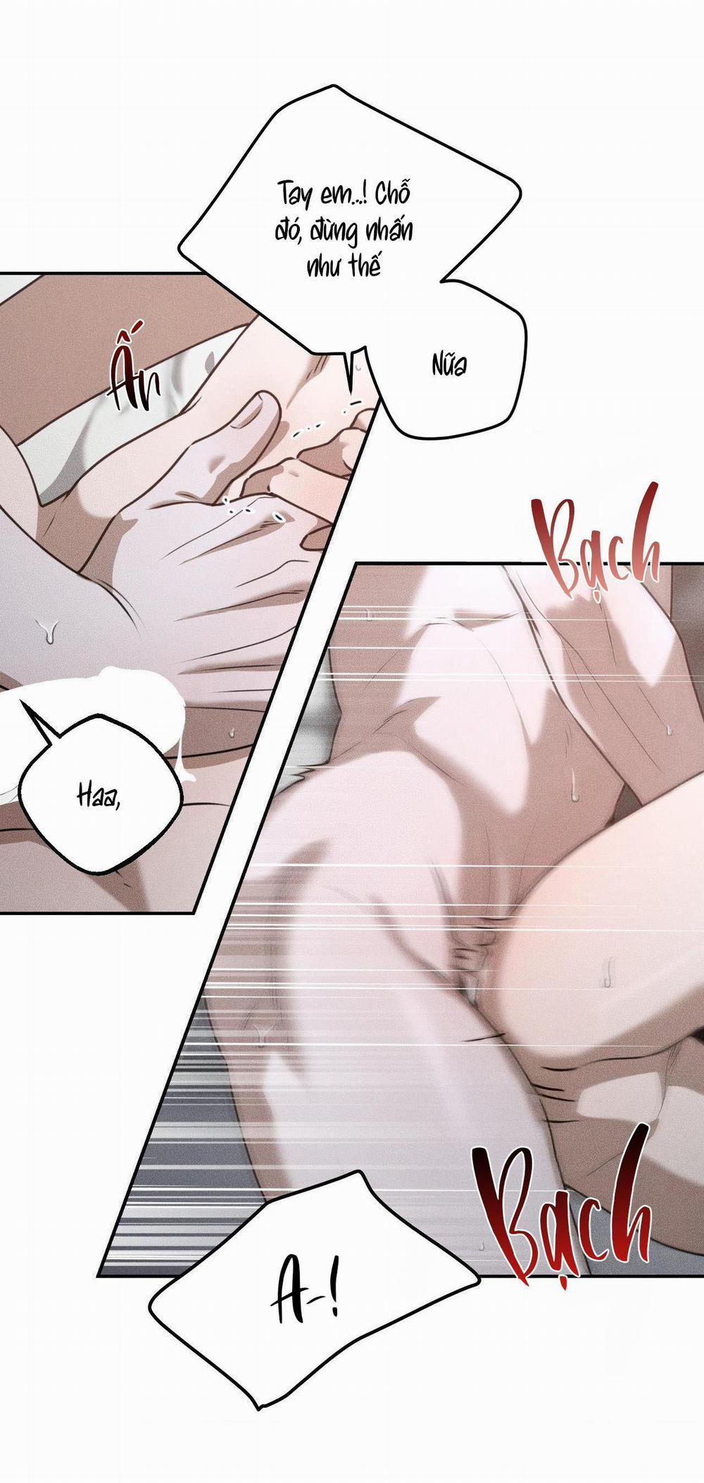 (CBunu) Gấu Teddy thân yêu 29 H+ trang 31