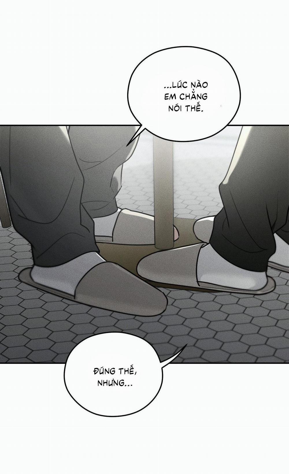 (CBunu) Gấu Teddy thân yêu 35 H+ trang 14