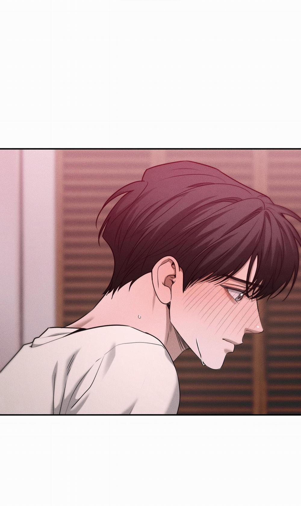 (CBunu) Gấu Teddy thân yêu 36 H+ trang 0