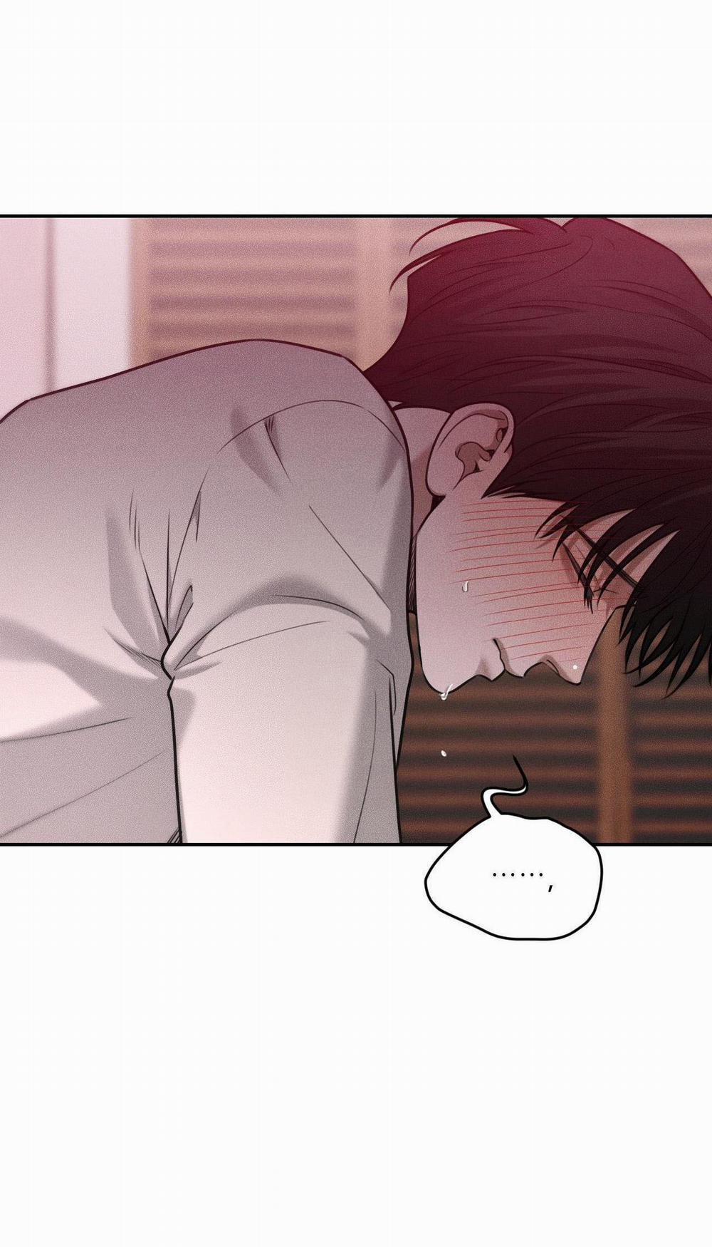 (CBunu) Gấu Teddy thân yêu 36 H+ trang 1