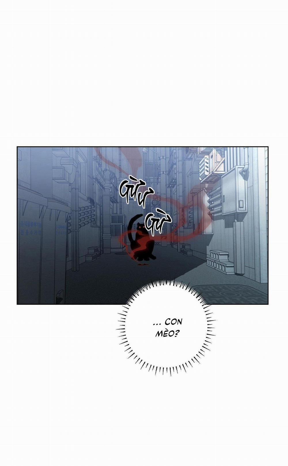 (Cbunu) In The Deep 8 trang 16