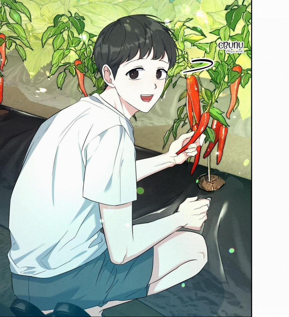 (Cbunu) Khu Rừng Tĩnh Lặng 3 trang 28