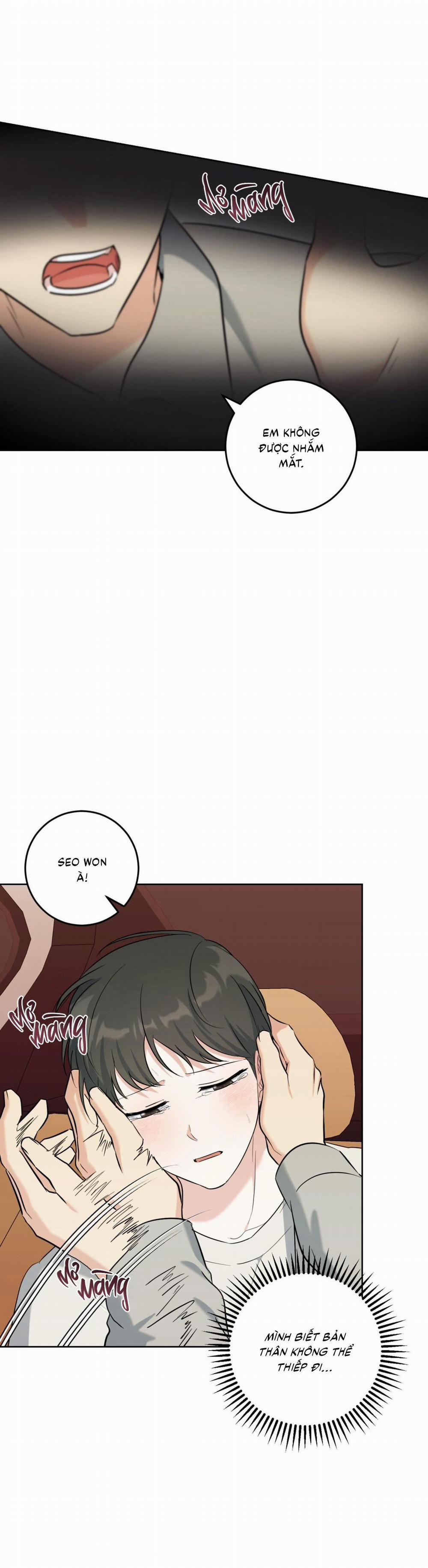 (Cbunu) Khu Rừng Tĩnh Lặng 52 trang 61