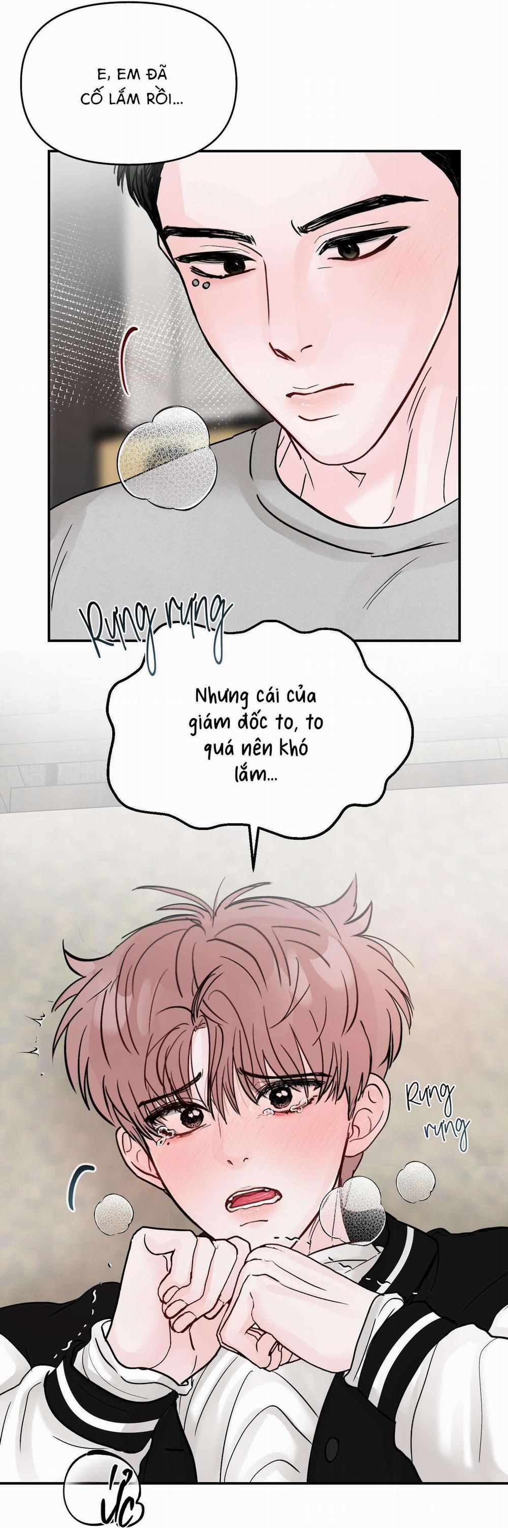 (Cbunu) Kiểu Người Tôi Ghét Chính Là Cậu 4 trang 13