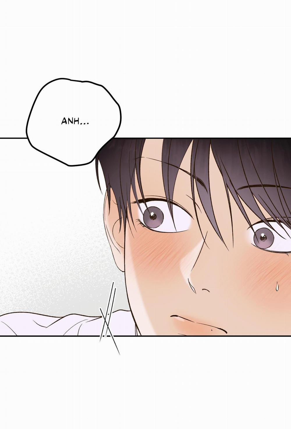 (Cbunu) Ngọn Gió Dịu Dàng 8 H+ trang 24