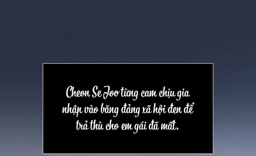 (Cbunu) Phép Chiếu 0 trang 2