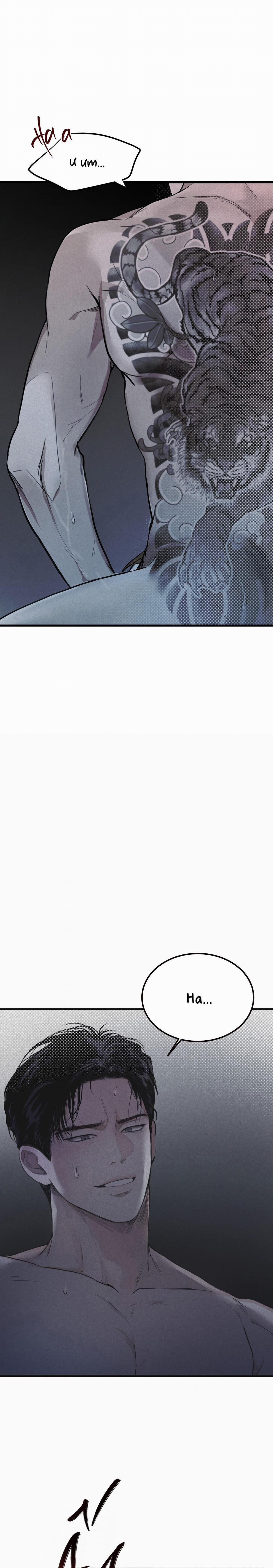 (Cbunu) Phép Chiếu 1 trang 2