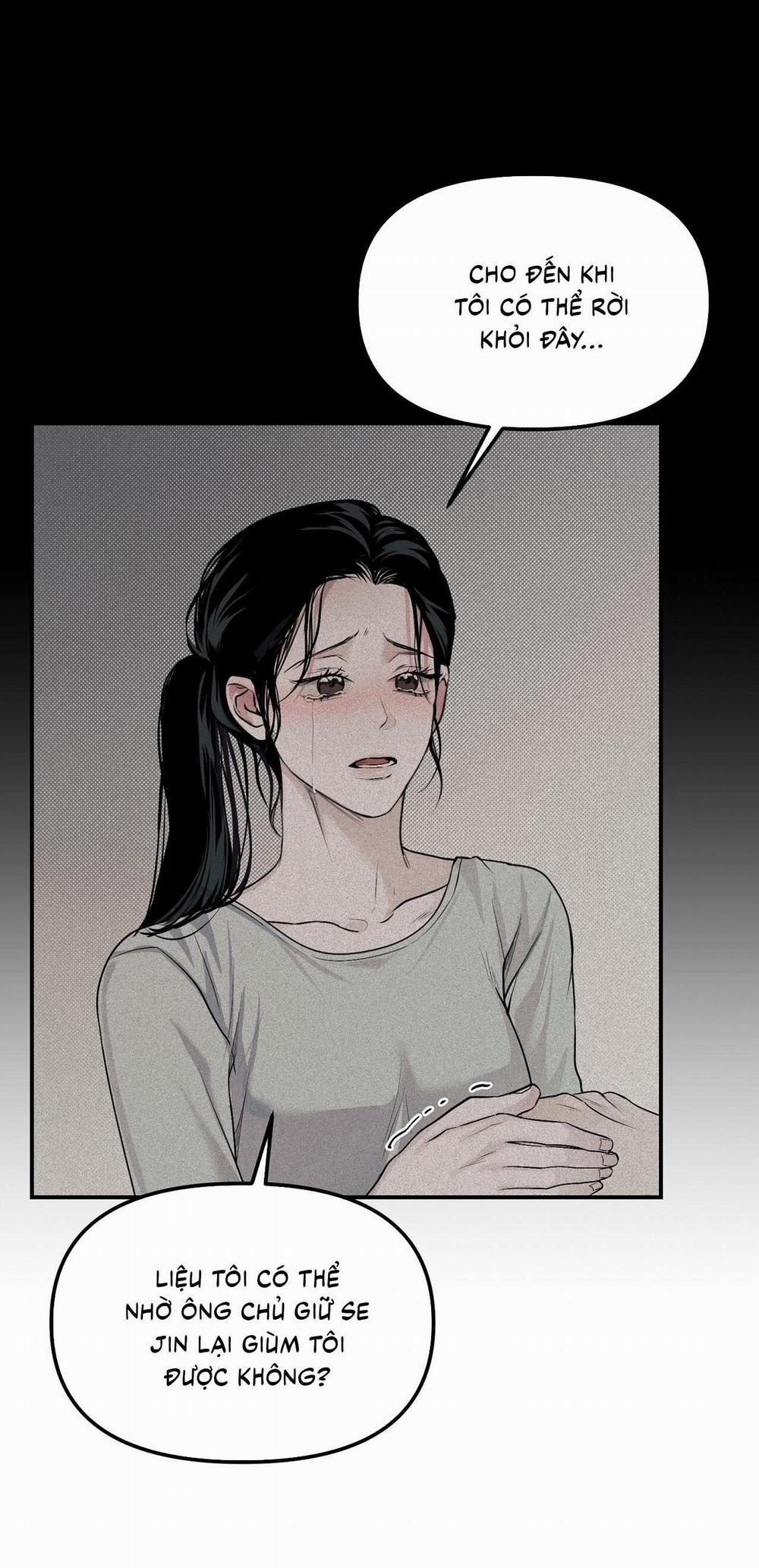 (Cbunu) Phép Chiếu 11 trang 21