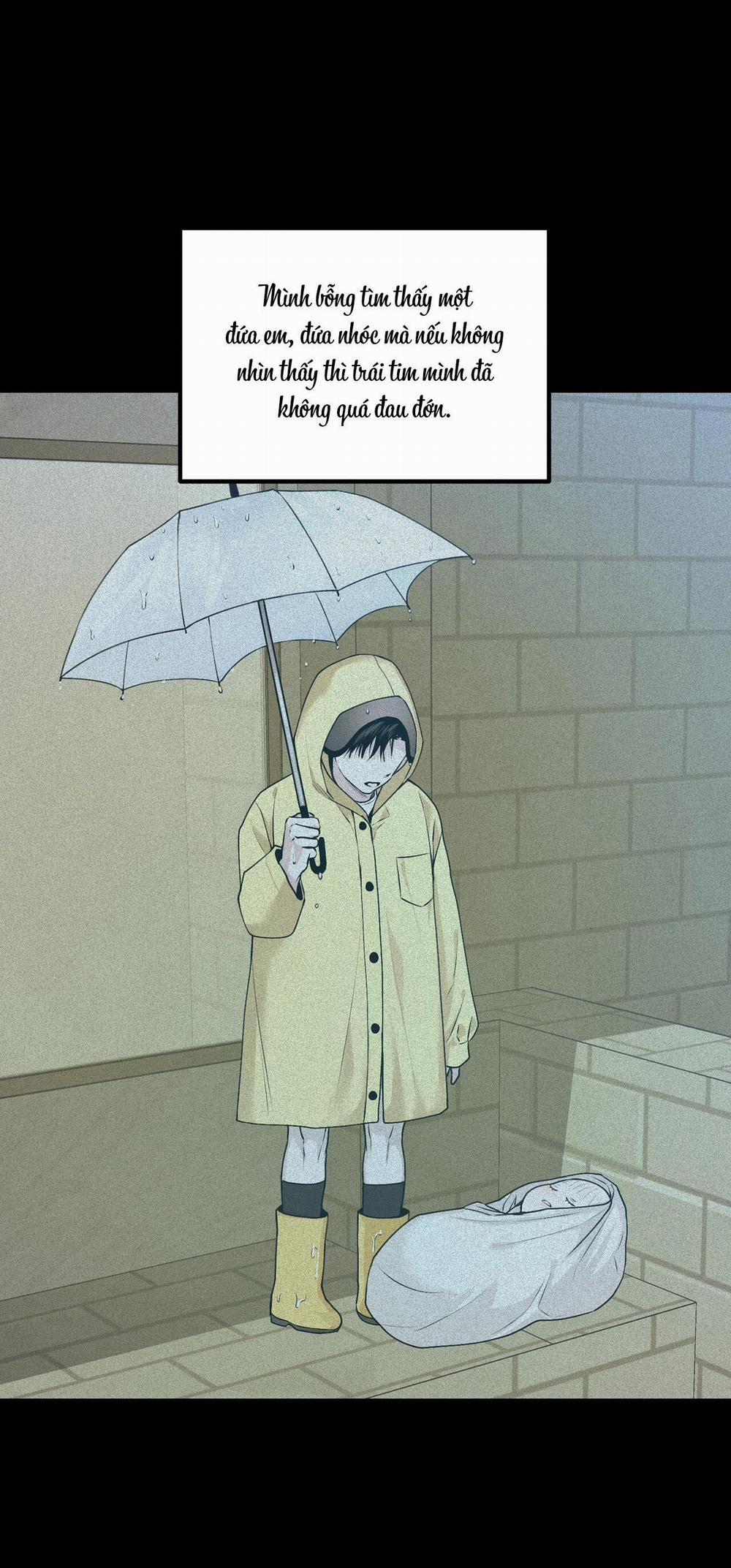 (Cbunu) Phép Chiếu 13 trang 8