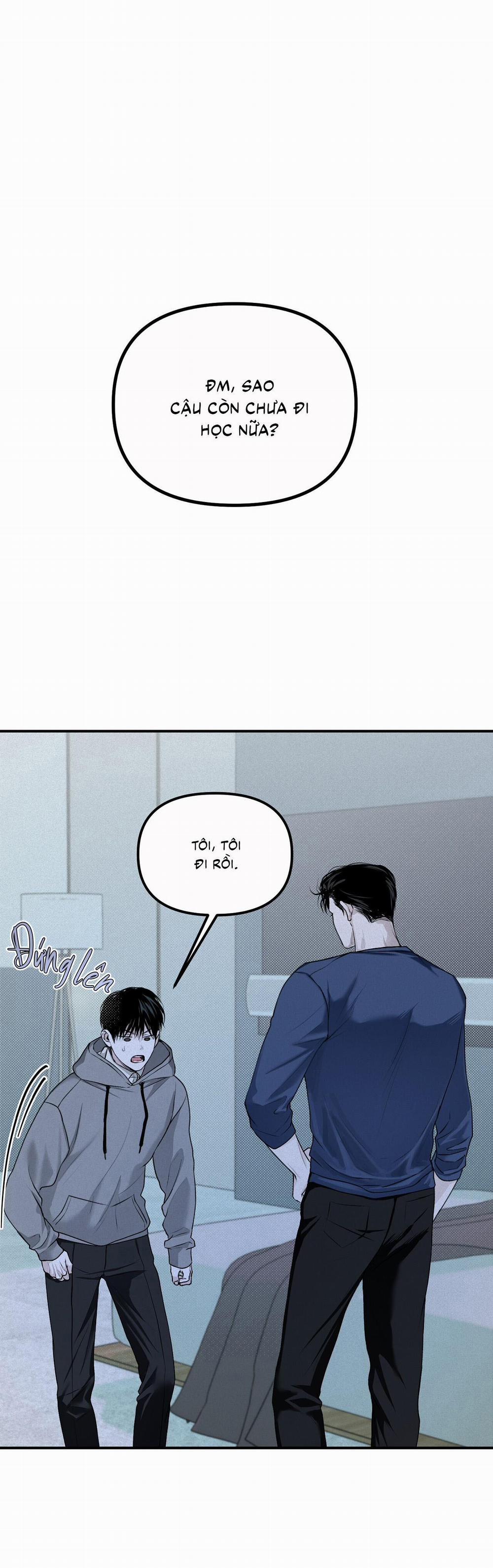 (Cbunu) Phép Chiếu 15 trang 0