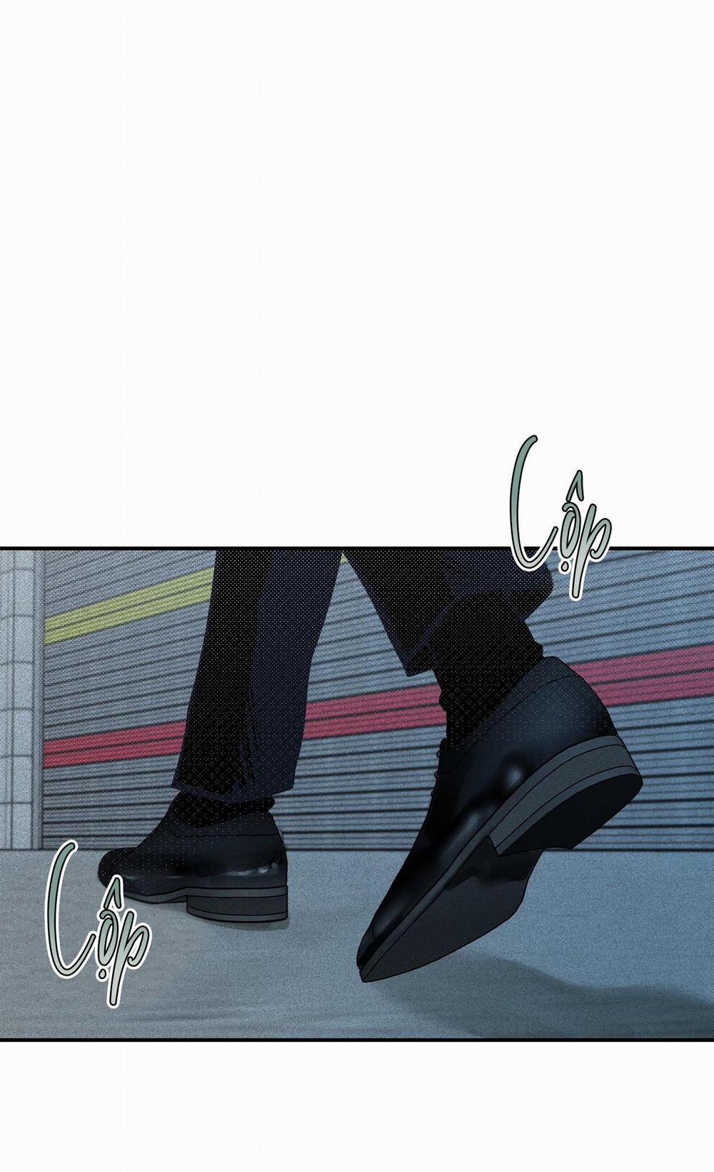 (Cbunu) Phép Chiếu 15 trang 46