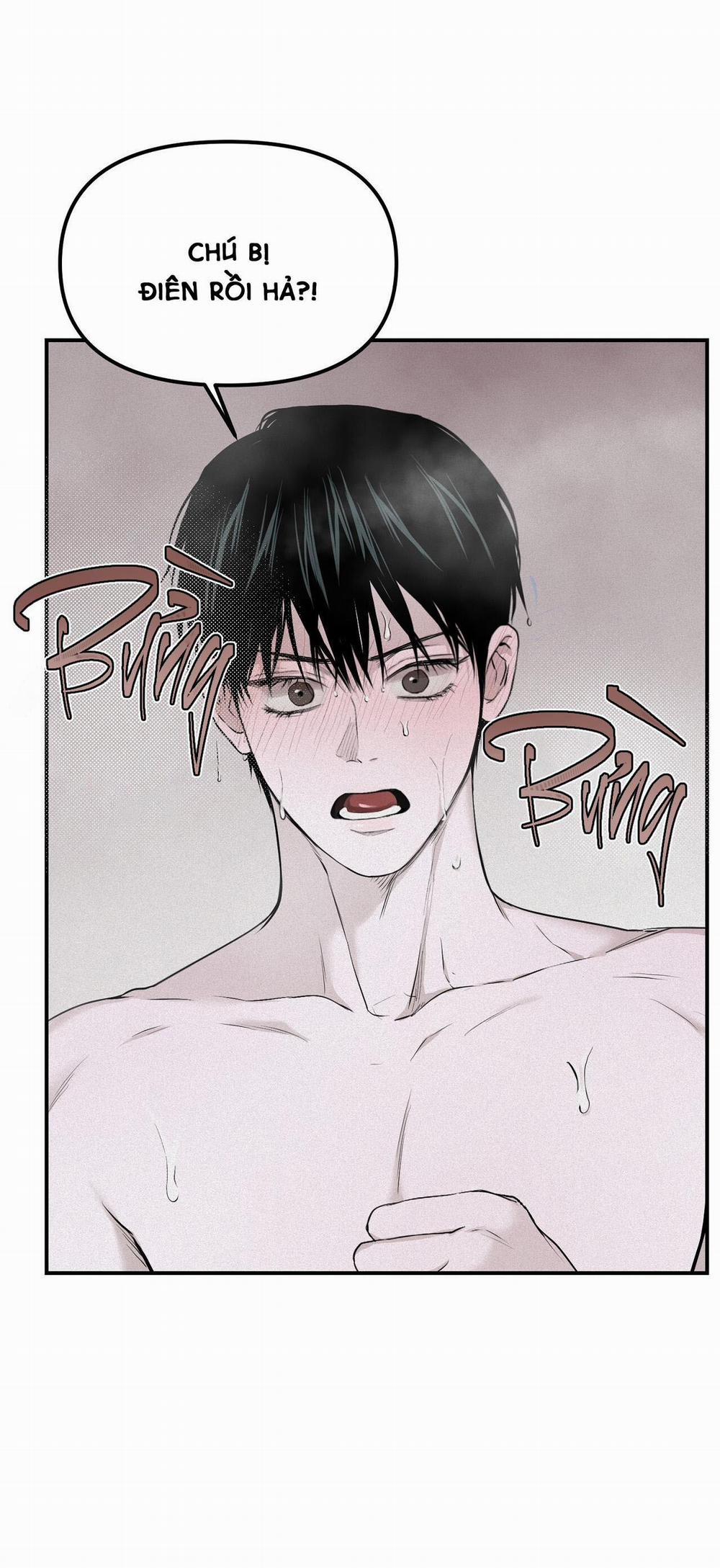 (Cbunu) Phép Chiếu 8 trang 37