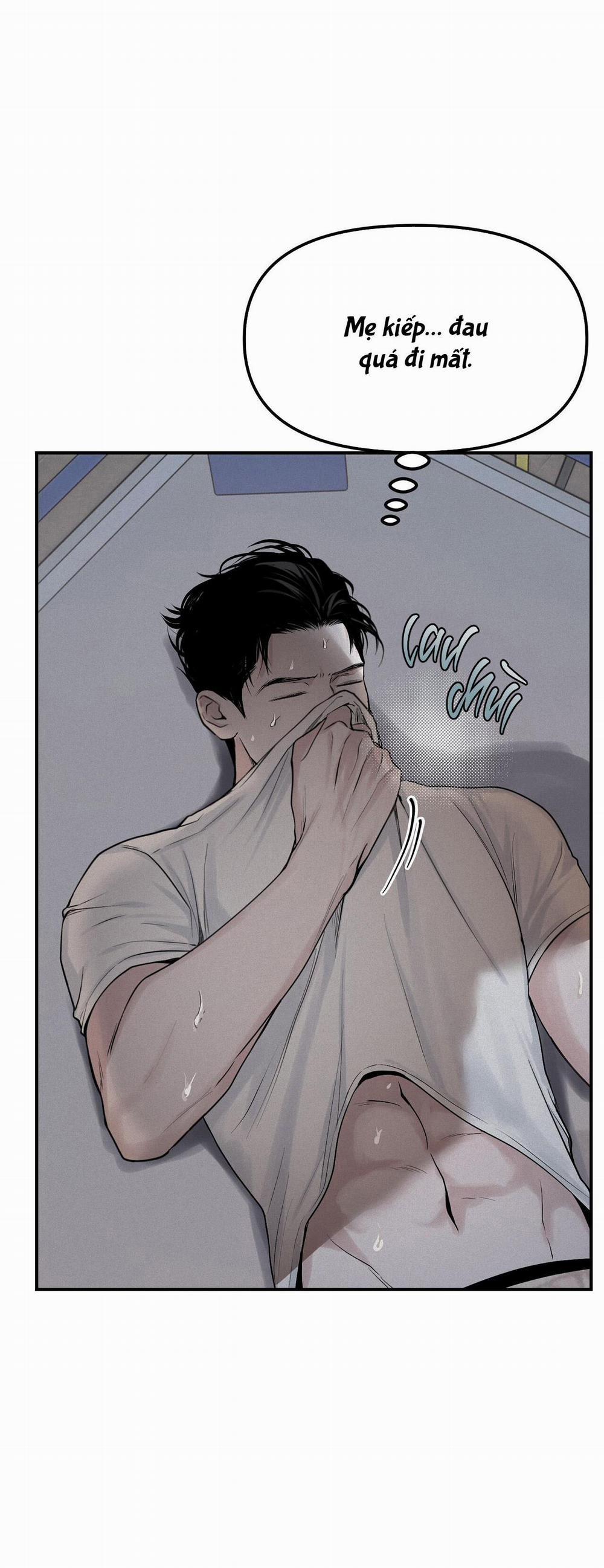 (Cbunu) Phép Chiếu 8 trang 4