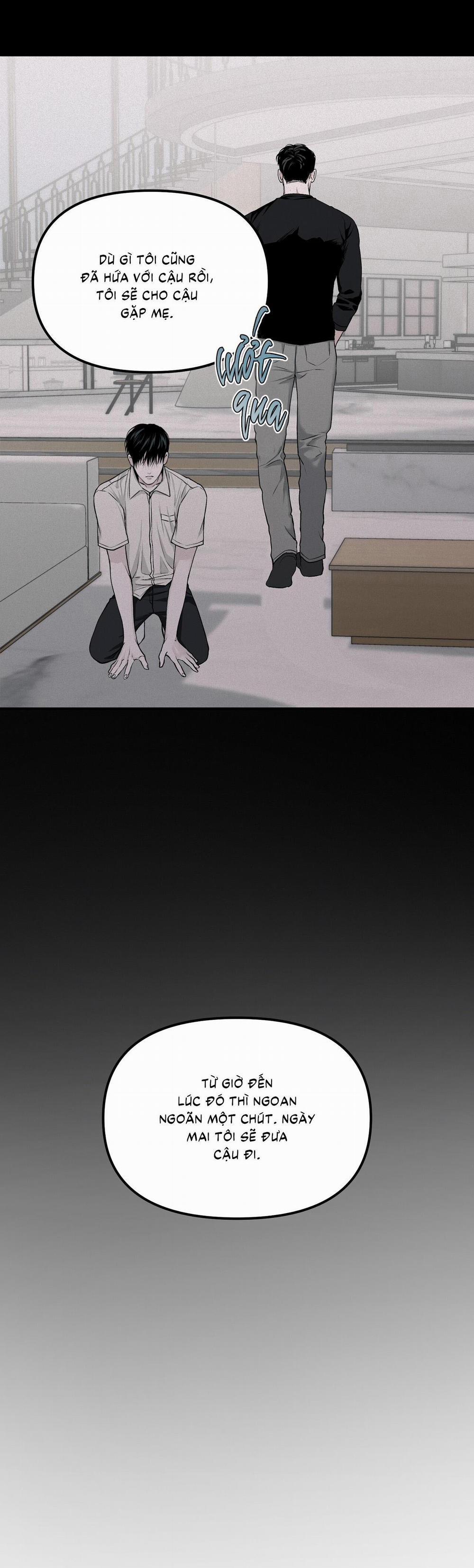 (Cbunu) Phép Chiếu 9 trang 19