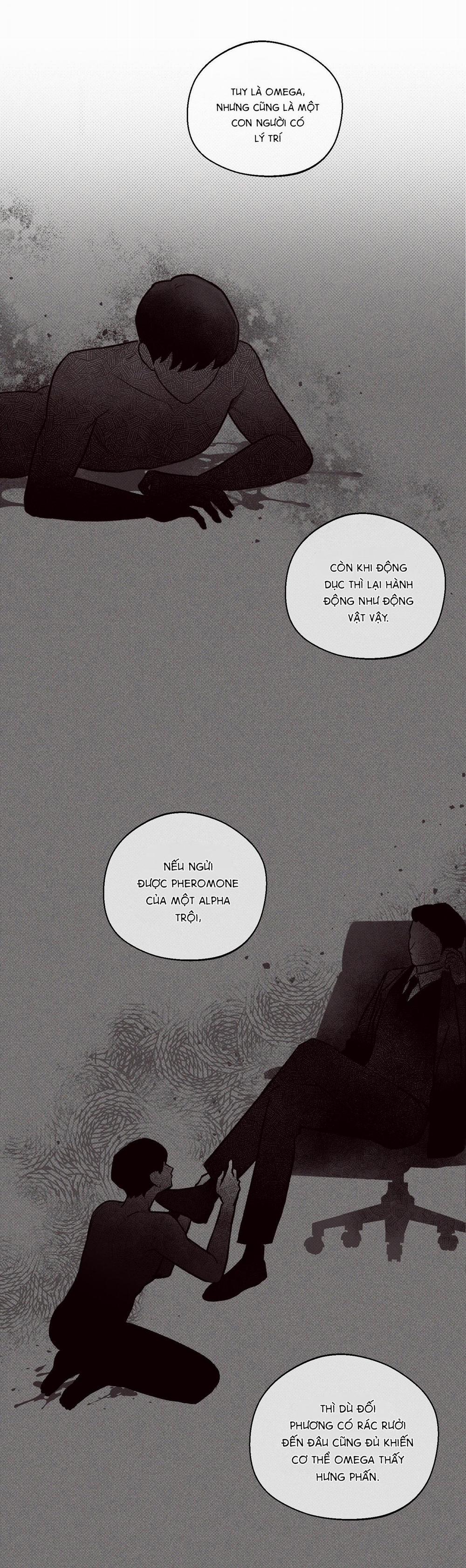 (Cbunu) Tháng 12 2 trang 5