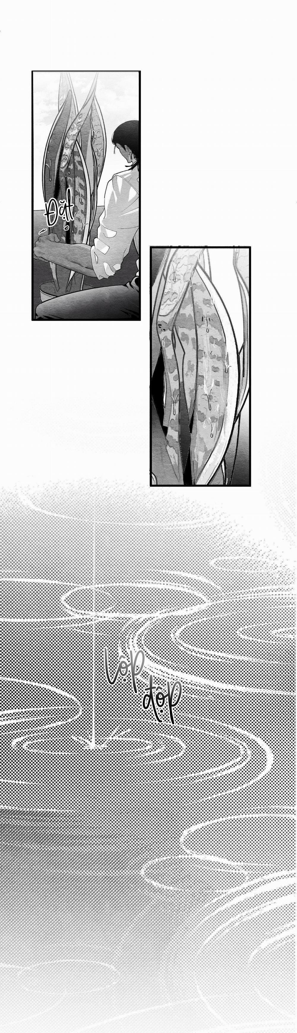 (CBunu) Vóc Dáng Toàn Mỹ 12 trang 25