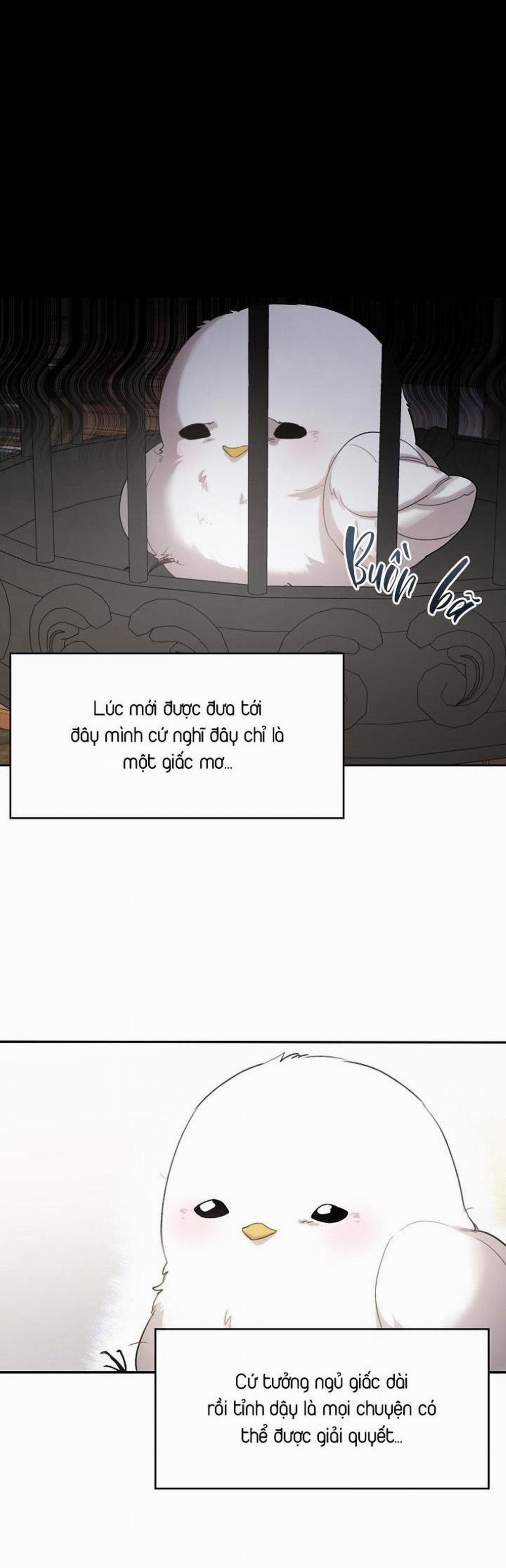 (Cbunu) Xin Người Đừng Nhấn 1 trang 37
