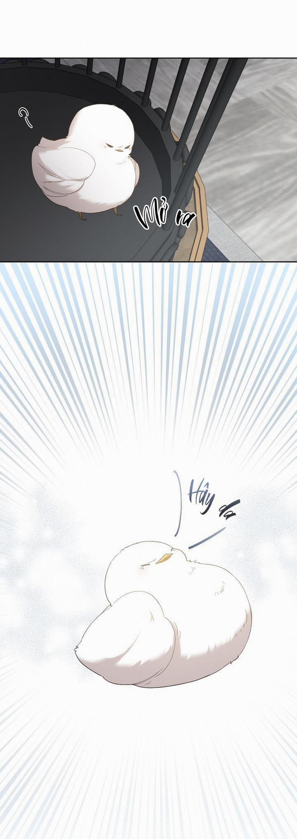 (Cbunu) Xin Người Đừng Nhấn 3 trang 14