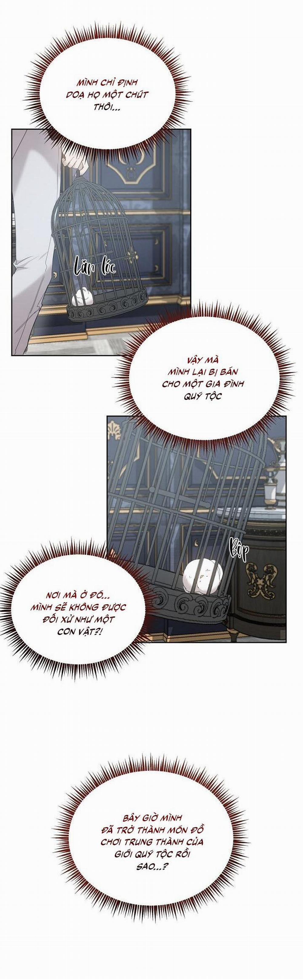 (Cbunu) Xin Người Đừng Nhấn 4 trang 8