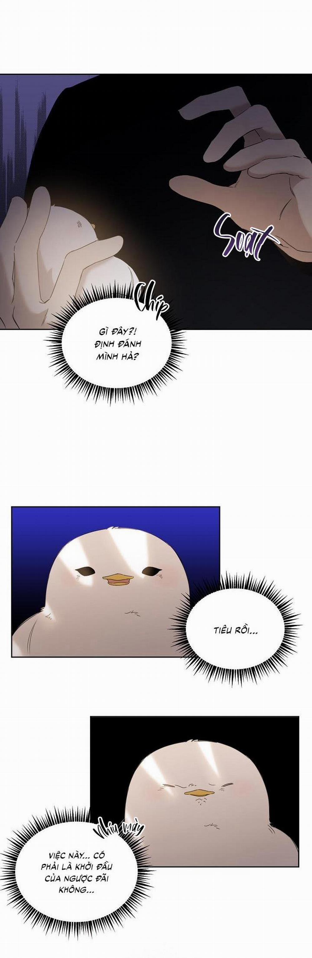 (Cbunu) Xin Người Đừng Nhấn 5 trang 1