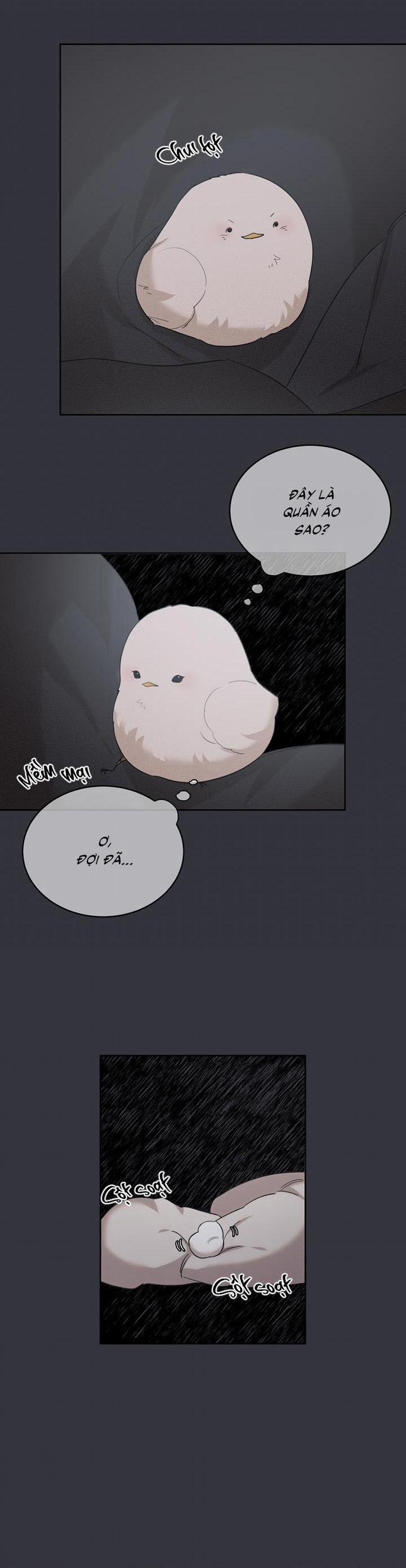(Cbunu) Xin Người Đừng Nhấn 8 trang 23