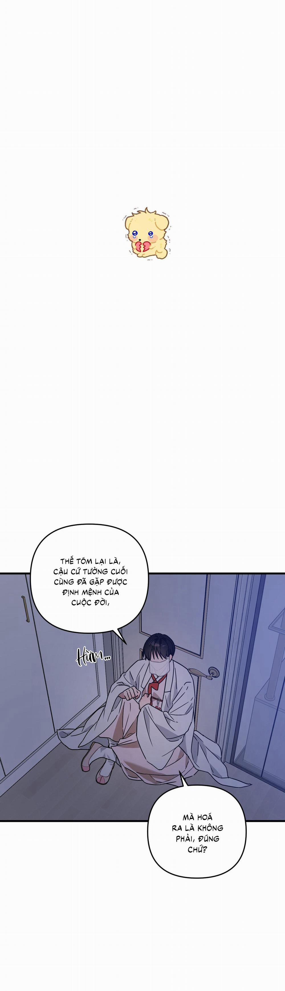 ( CBunu ) Yêu Phải Lừa Đảo 10 trang 12