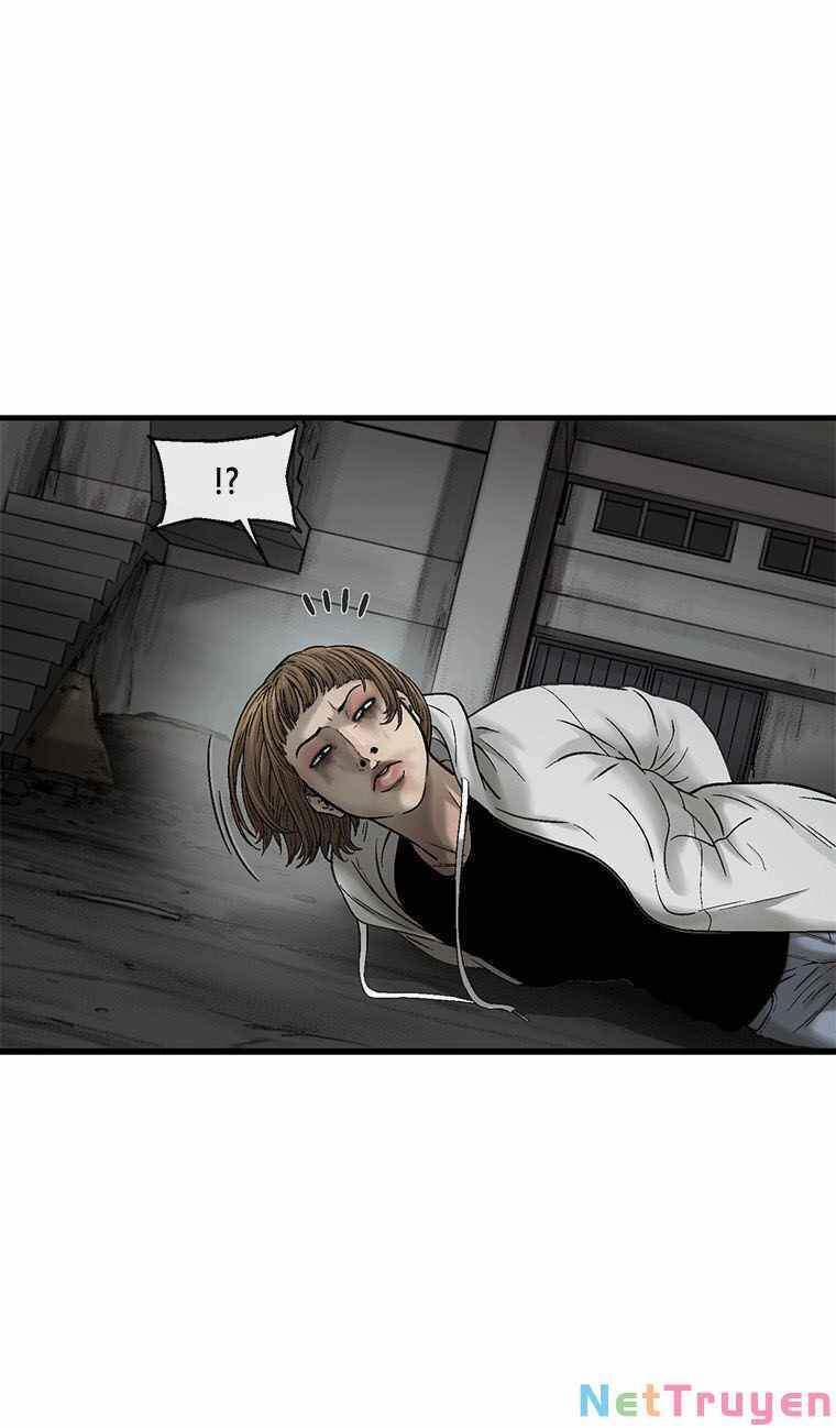 Cell 39 trang 19