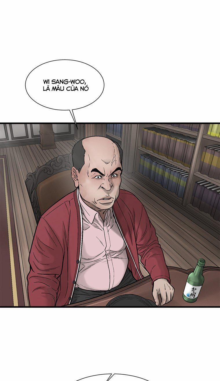Cell 43 trang 51