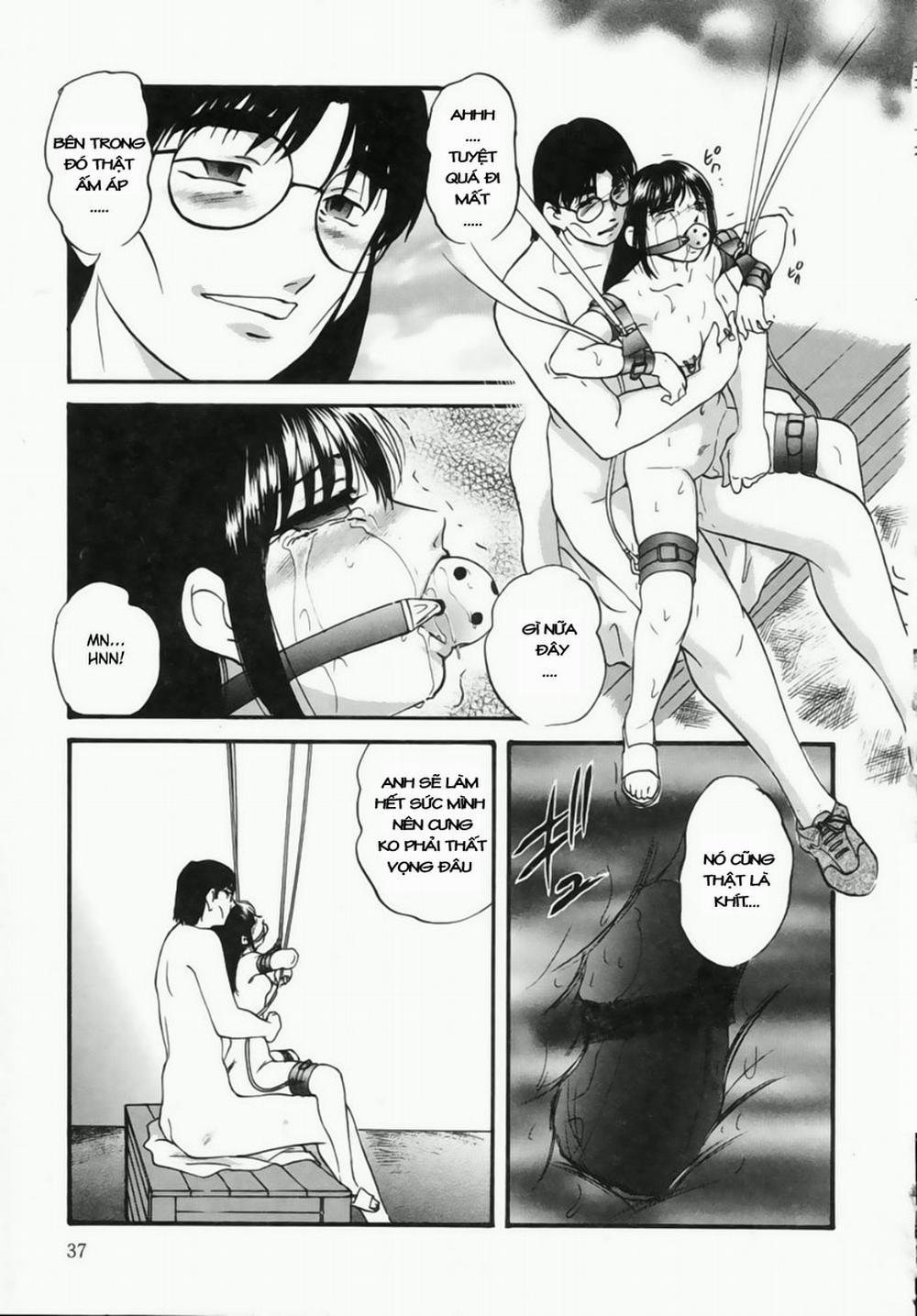 Cellular Control 2 trang 12