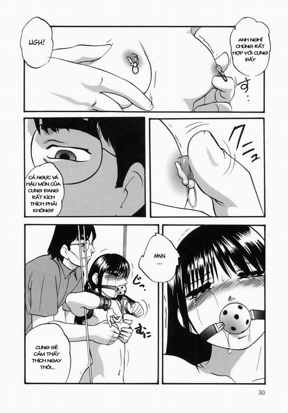 Cellular Control 2 trang 5