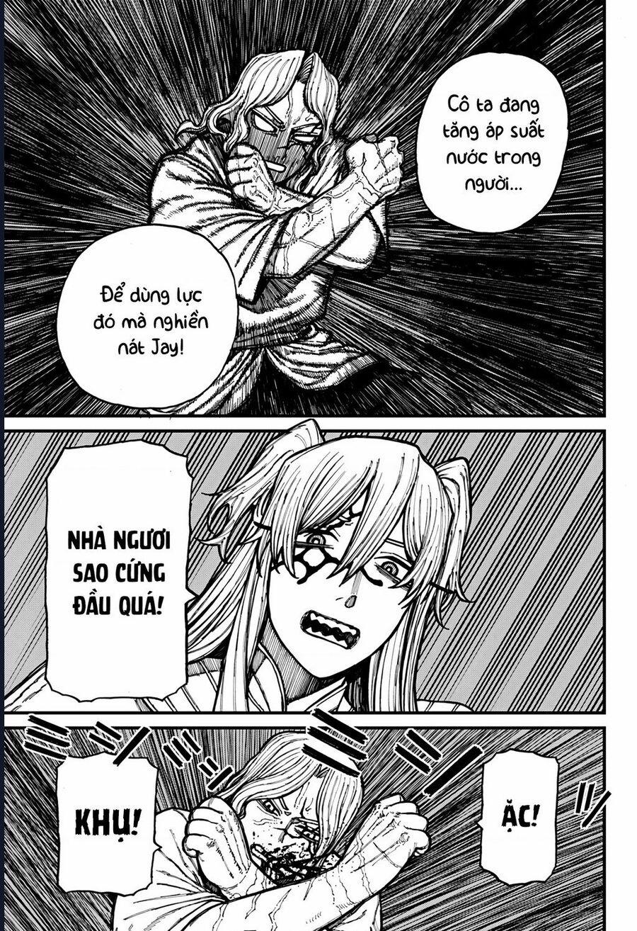 Centuria 34 trang 15