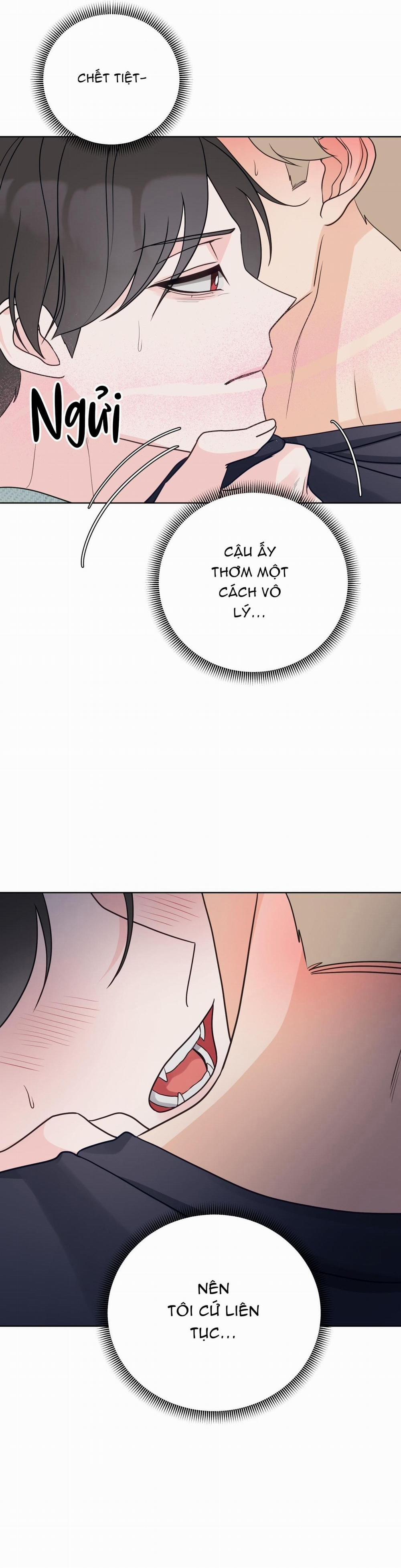 Chấm Hết 31 trang 32