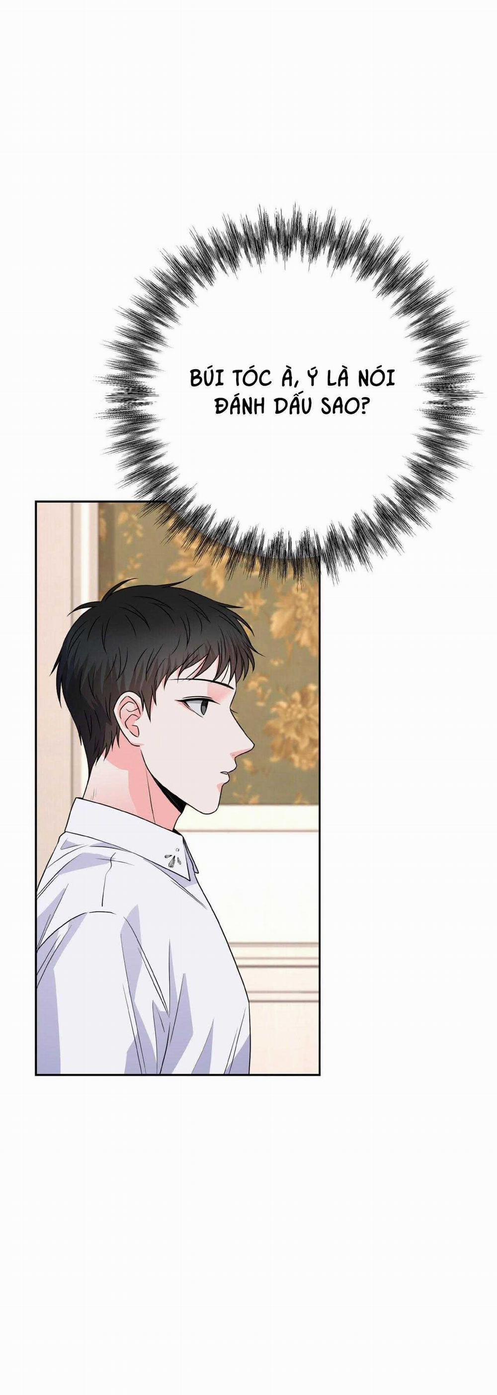 Chán Ghét 29 trang 33