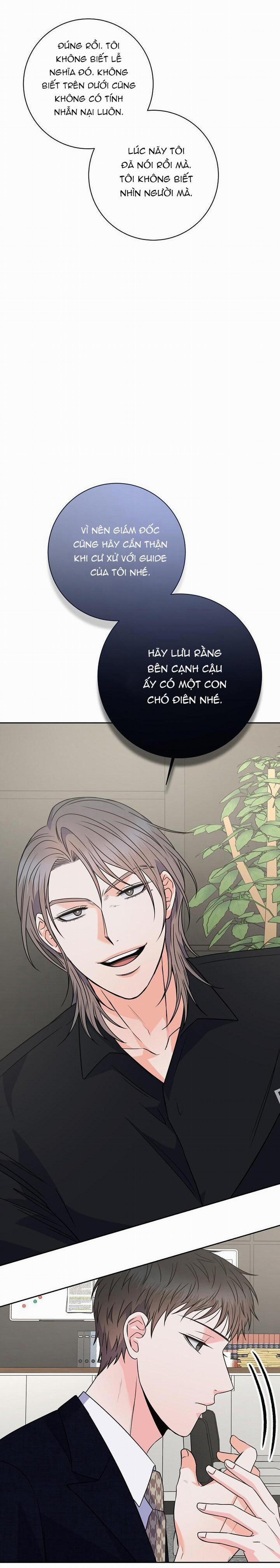 Chán Ghét 40 trang 20