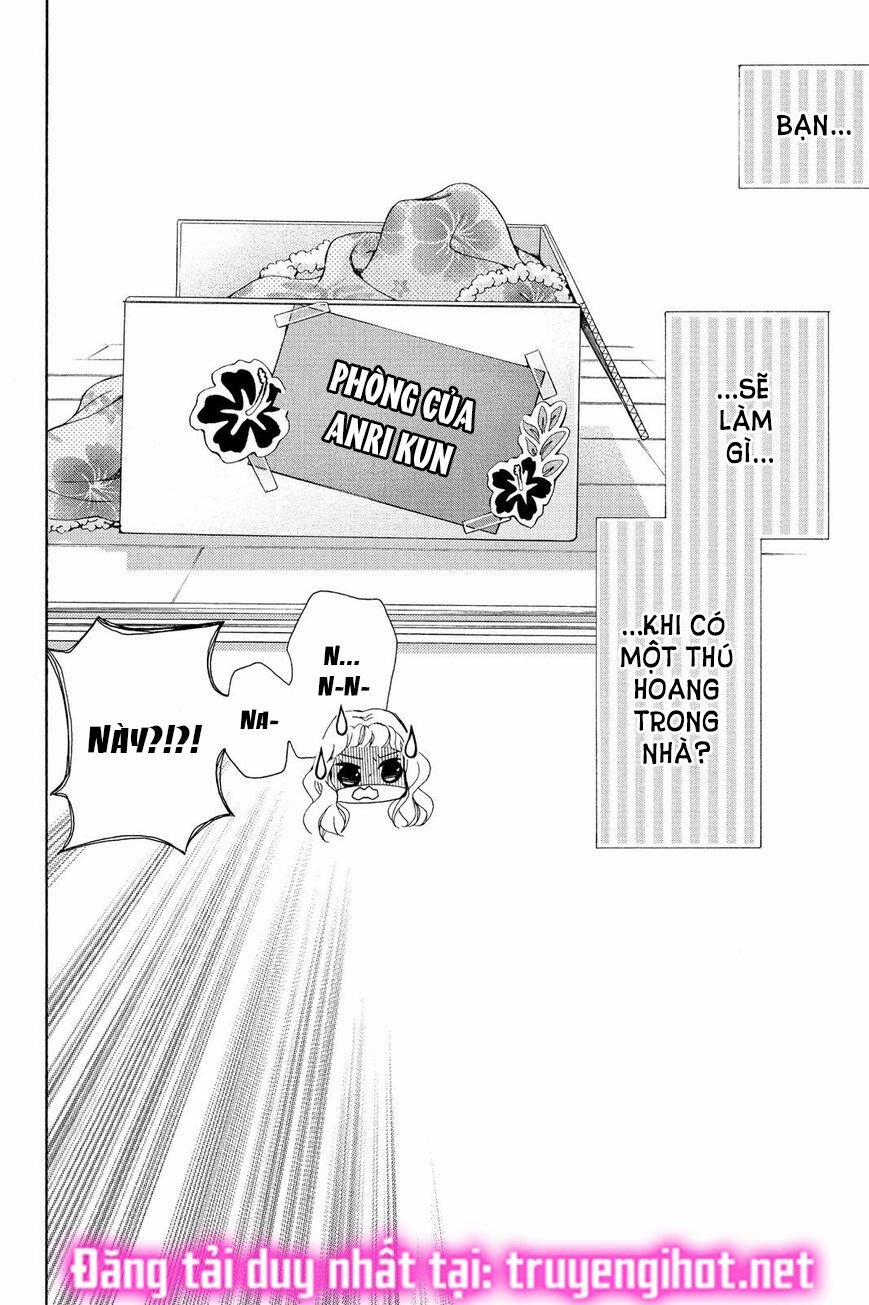 Chàng Báo Đen Và Cô Nàng Ngọt Ngào Tuổi 16 3 trang 2