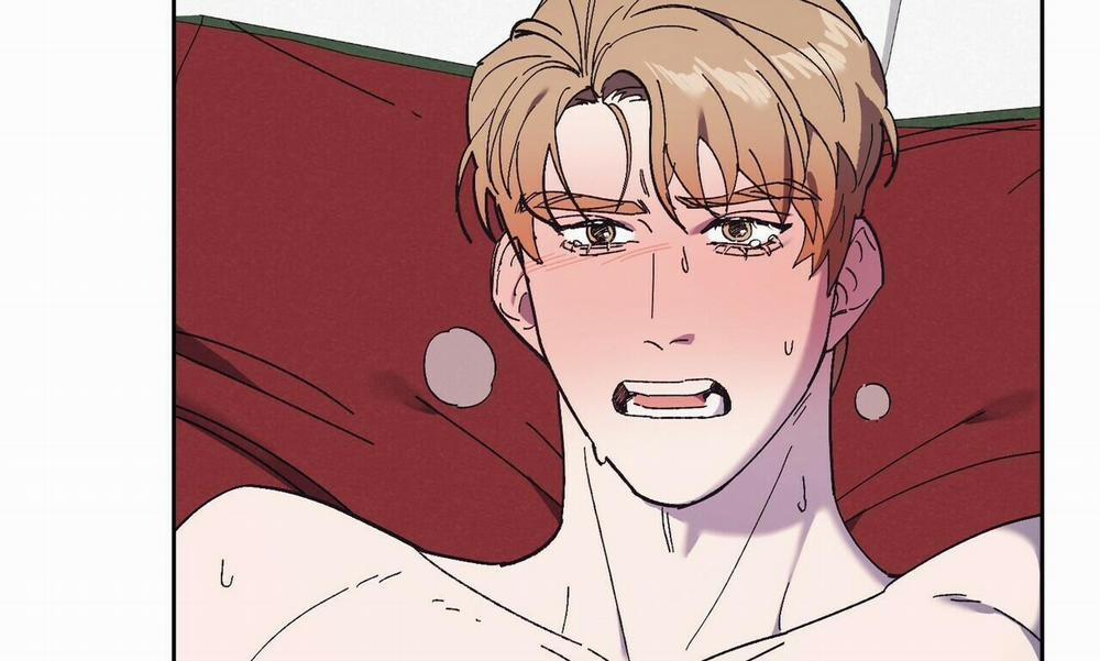 Chàng Dâu Nhà Họ Kang 0 End SS1 trang 6