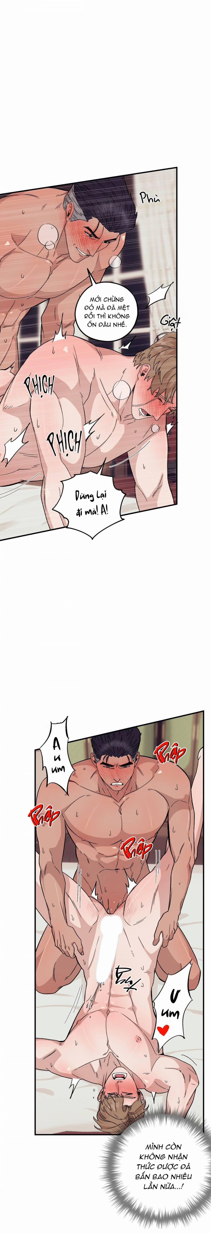 Chàng Dâu Nhà Họ Kang 51 trang 1